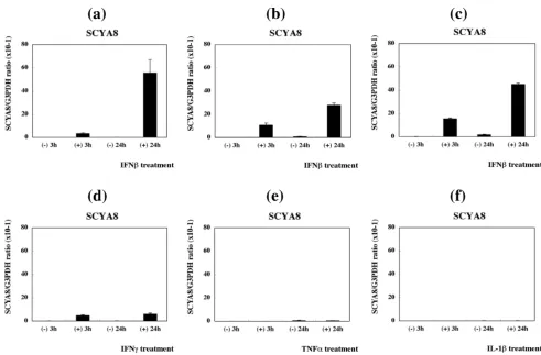 Figure 3Real-time RT-PCR analysis of SCYA8 expression in PBMCReal-time RT-PCR analysis of SCYA8 expression in PBMC
