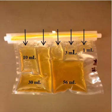 Figure 1.  Compartment Bag Test 