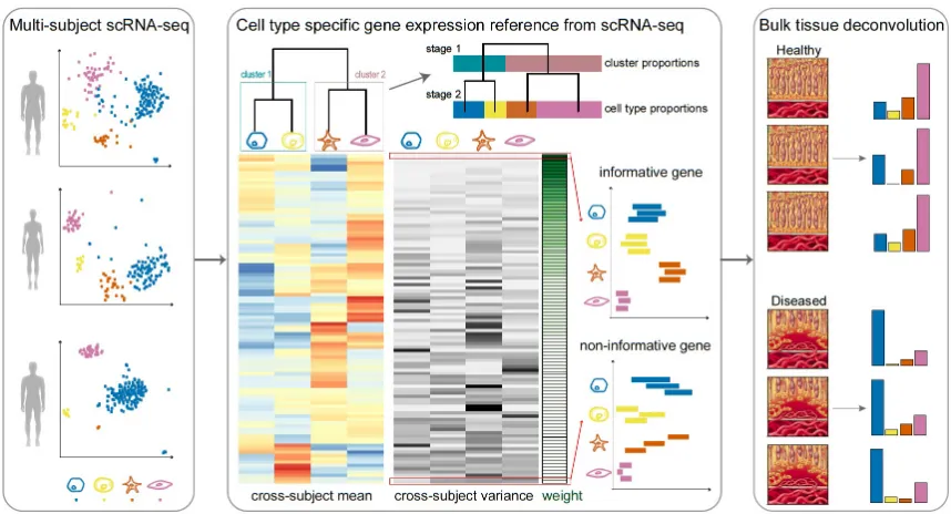Figure 7: Overview of MuSiC framework.Music starts from scRNA-seq data from multiple subjects, classiﬁed into cell types (shownin diﬀerent colors), and constructs a hierarchical clustering tree reﬂecting the similaritybetween cell types.Based on this tree,