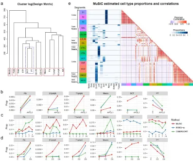 Figure 9: Cell type composition in kidney of mouse CKD models and rat.a.Beckerman et al