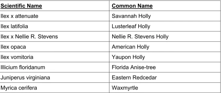 TABLE B-2  Evergreen Species 
