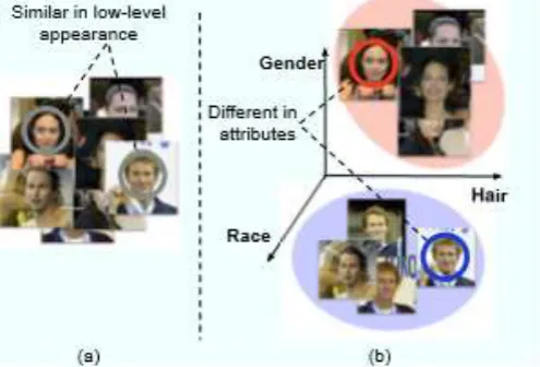 Fig. 1. (a) Because low-level features are lack of semantic meanings, face images of two different people might 