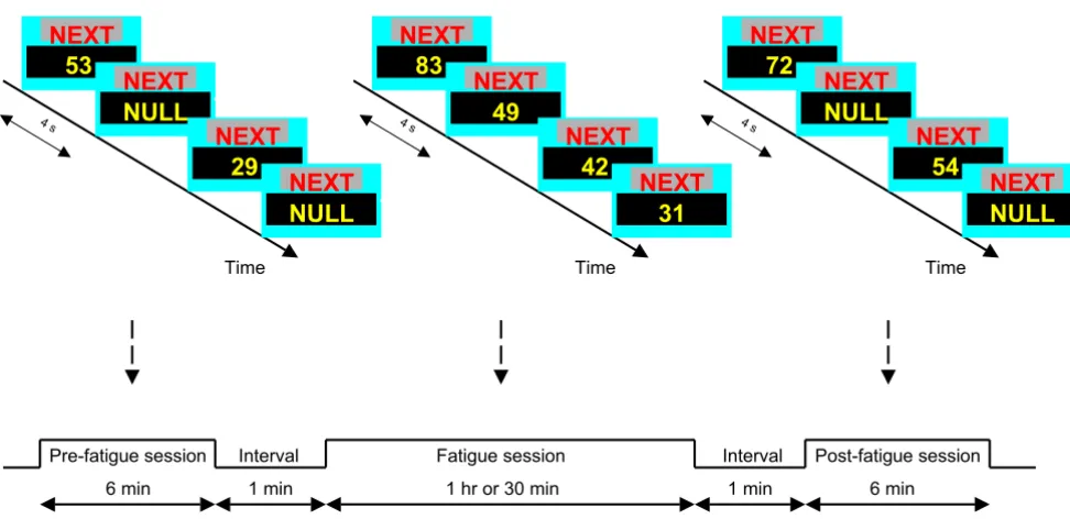 Figure 2Experimental procedureExperimental procedure. Experiment included 3 sessions: Pre-fatigue, fatigue, and post-fatigue sessions