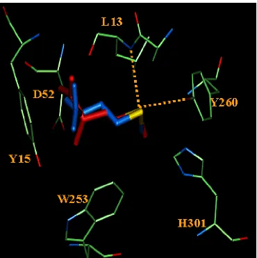 Figure 3. (b) The Sδ of methionine makes two hydrogen bonds – one with 