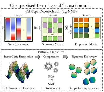 Figure 1.3: Unsupervised machine learning is used to discover cell type proportion 