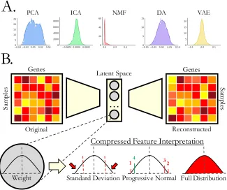 Figure 1.4: Interpretation of compressed gene expression features 