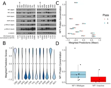 Figure 2.2: Performance of our classifier on an external validation set 