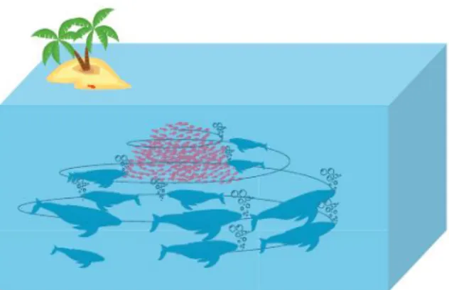 Fig. 1 Bubble-net feeding behavior of humpback whales [9] 