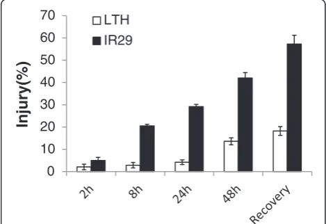 Figure 1 Mean genotypic differences in cell membrane injurybetween LTH and IR29 under the 4°C chilling stress and non-stress control for 2, 8, 24, and 48 h and subsequent recoveryfor 24 h