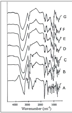 Fig. 1: Phase solubility plot for FFN in β-CDSolubility of FFN at different β-CD concentrations (-■-) in pH 6.8 phosphate buffer.