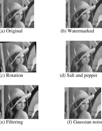 Fig 4: Greyscale image "Lena".  