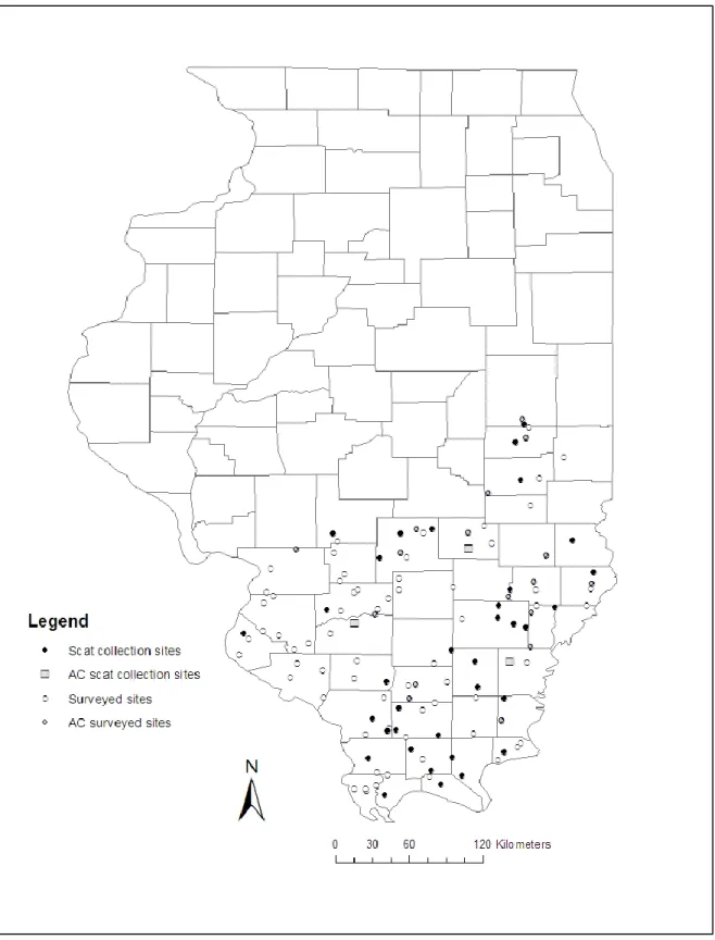 Fig 1.— Otter (Lontra canadensis) scat collection sites (n = 43), sites with Asian carp (AC) evidence in the  scat (n = 3), total sites surveyed (n = 120), and surveyed sites with Asian carp (AC) present (n = 18) in  southern Illinois, JanuaryApril 20131