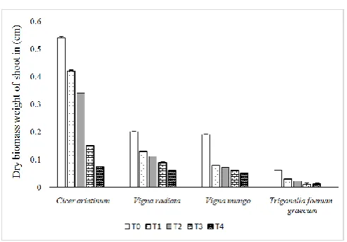 Figure 3. Effects M. paniculata on radical-plumule growth (cm) of four selected crops