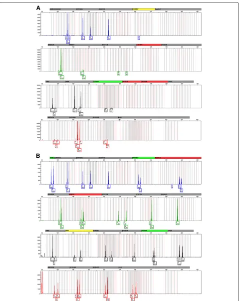 Fig. 3 Representative electropherograms for an Sg-negative and mold-infested male-male anal swab (MM_Swb4) showing partial autosomalallele recovery of the semen contributor after organic extraction (a) and full recovery of semen-derived alleles using the s