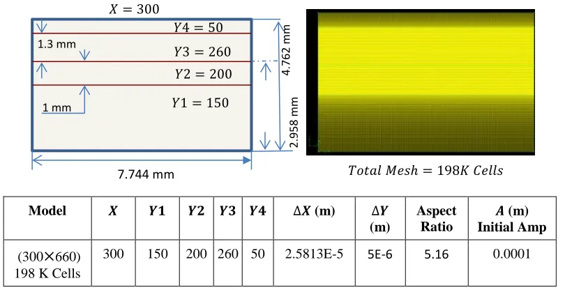 Figure 9: Mesh layout for growth rate calculation.  Total computational cell size is (300×560) =198K