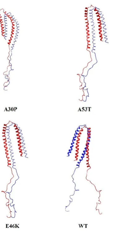 Figure S3: Dimer complex of the mutants and WT having the best atomic contact energy (ACE), geometrical shape complementarity score and surface area  