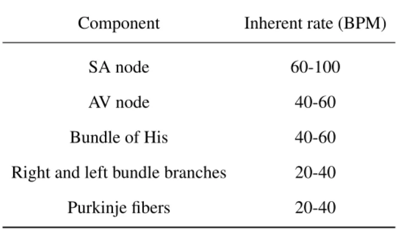 Table 1: Components’ inherent rates in the cardiac conduction system [37]