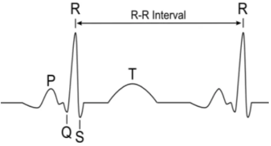 Figure 6: A typical normal ECG waveform [59]