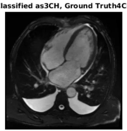 Figure 13: Example of results on validation data for image classification