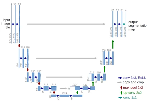 Figure 7: U-net Structure [11]