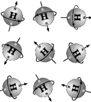 Figure 2.3.1. Protons aligned randomly with no magnetic field