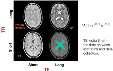 Figure 2.3.8. Different Image Contrasts.[5]