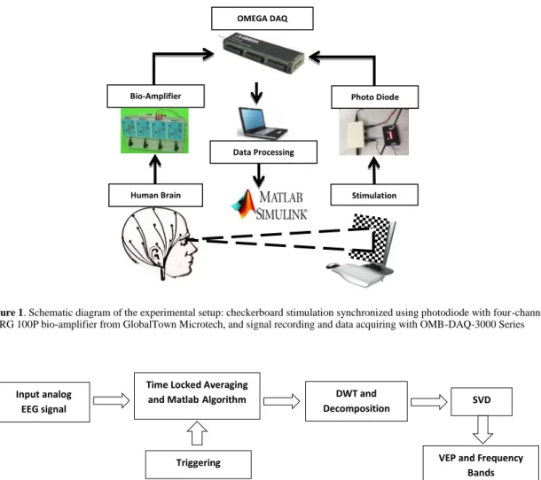 Figure 1. Schematic diagram of the experimental setup: checkerboard stimulation synchronized using photodiode with four-channel  iERG 100P bio-amplifier from GlobalTown Microtech, and signal recording and data acquiring with OMB-DAQ-3000 Series 