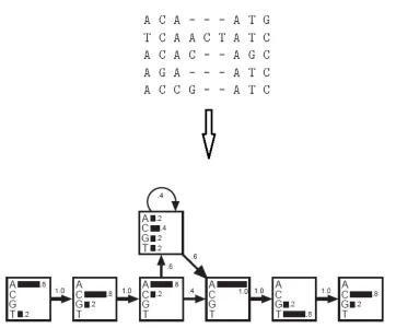 Figure 2.2: An example of proﬁle HMMs, from the paper [3]. A DNA motif at the top can beconverted into a proﬁle HMM at the bottom.