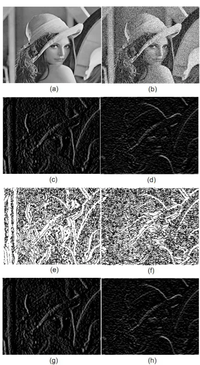 Figure 1. The effect of the new wavelet filtering at the scale m = 3 and  k327.mm (a) The original Lena image; (b) the noised image; (c) W (; (h)   W23newnc13,n ; (d)   Wc23,n ; (e)     Wc13,nWc14,n ; 3,nW ; (g)  ,f) 