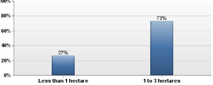 Table 10  - Size of Coffee Farms