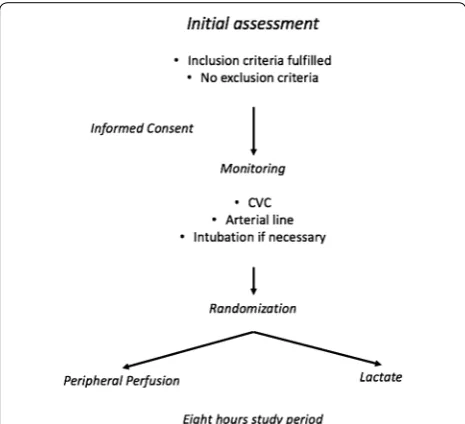 Fig. 1 Pre‑randomization phase assessments and interventions. CVC central venous catheter