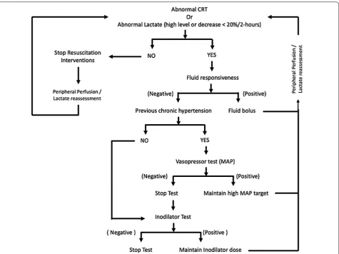 Fig. 2 Resuscitation protocol for both groups. The figure describes the sequential approach to resuscitation