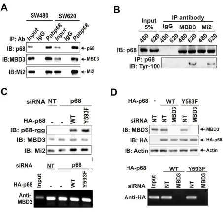 Figure 2.3 