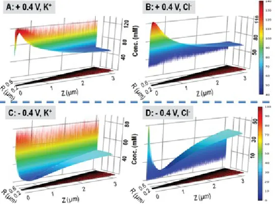 Figure 3.7 Spatial distributions of K50mMKCl with -170 mC meach panel. The adaptive mesh elements are much denser near the charged interface (boundary 5)