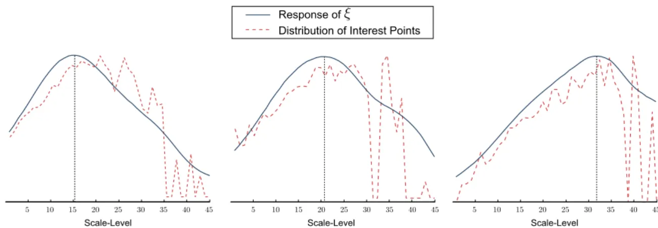 Fig. 1. Normalized response of ξ compared to the normalized response distribution of scale-space extrema.