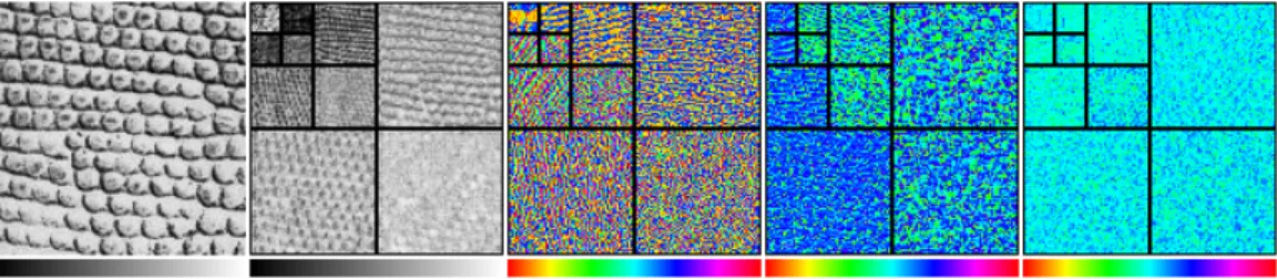 Figure 1: Quaternionic wavelet transform of a textural image. From left to right : Original image, magnitude |q| (intensity inverted for visual convenience), ϕ ∈ [−π; π], θ ∈ [− π 2 ; π2 ], ψ ∈ [− π4 ; π4 ]
