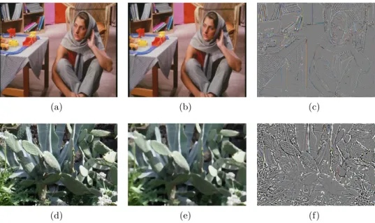Figure 3. Our decomposition method with r = 0.75 : (a and d) original images, (b and e) images of geometry, (c and f) images of texture.