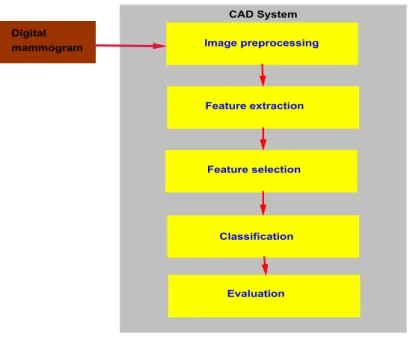 Figure 1.2: CAD for lesion classification.
