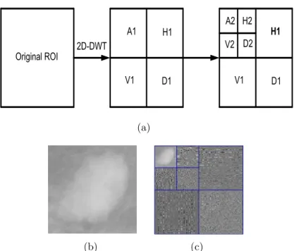 Figure 3.1: Decomposition of the ROI into subcomponents using 2D-DWT. (a) Wavelet decomposition at two resolution level, (b) Original ROI (mdb015), (d) Subcomponents of ROI (wavelet coefficients).