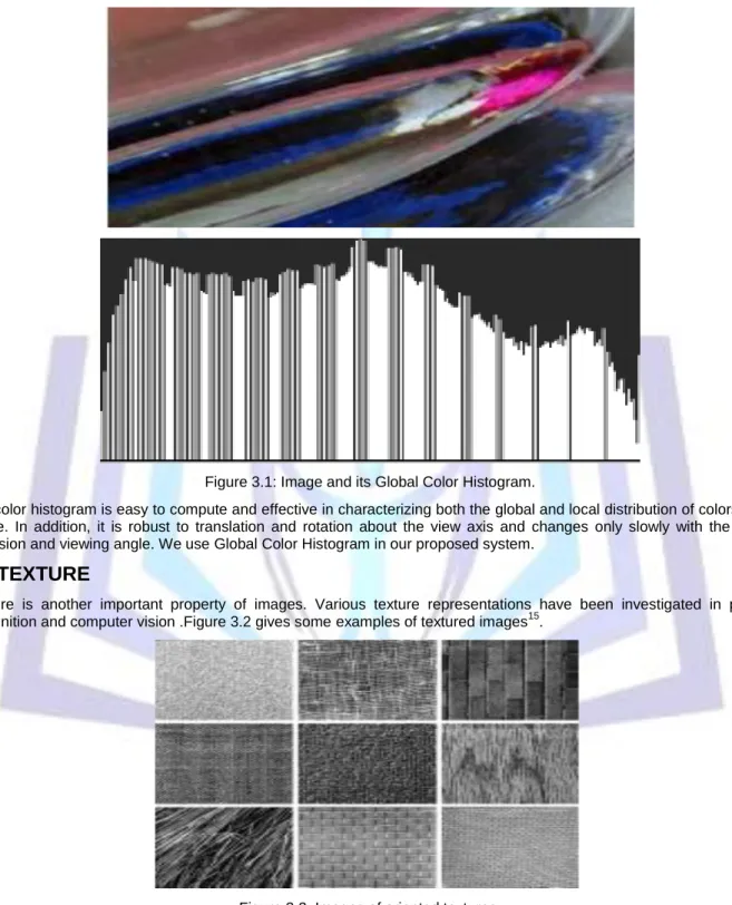 Figure 3.1: Image and its Global Color Histogram. 