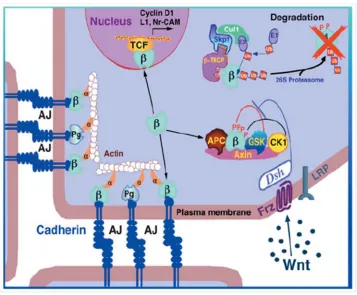 Figure 1.2 