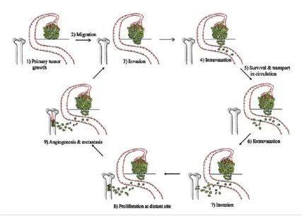 Figure 1.3 