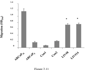Figure 2.11 