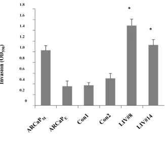 Figure 2.12 
