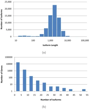 Figure 2.3 Distribution of isoform lengths (a) and gene cluster sizes (b) in the UCSC dataset.
