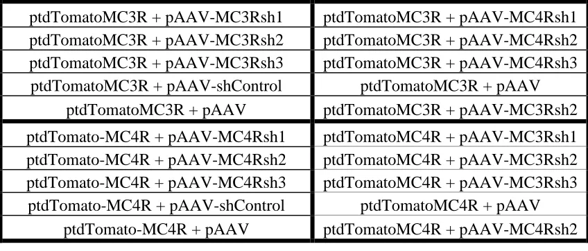 Table 2. Experimental co-tranfections into HEK-293 cells  