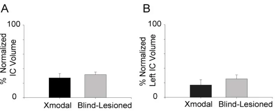 Figure 3.3.  Statistical comparison of residual volume of inferior colliculi in Xmodal and blind-