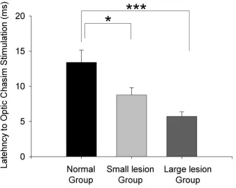 Figure 2.13.  Latencies of responses to optic chiasm stimulation in normal AC and cross-modal 