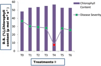 Figure 1. Relationship between chlorophyll content in Imitaf treated plants and disease incidence at 70 DAS
