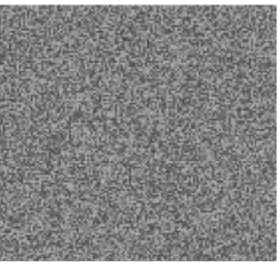 Figure 2.6 Speckle Noise 